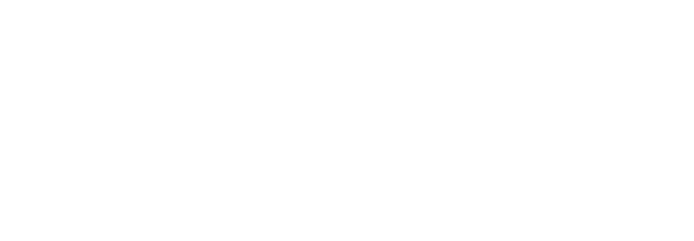 Pricer logo