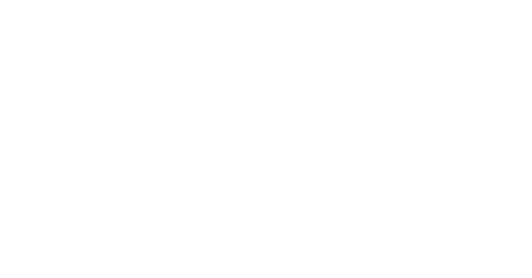 Hanmi Global logo